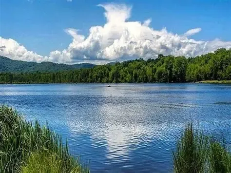 89 1