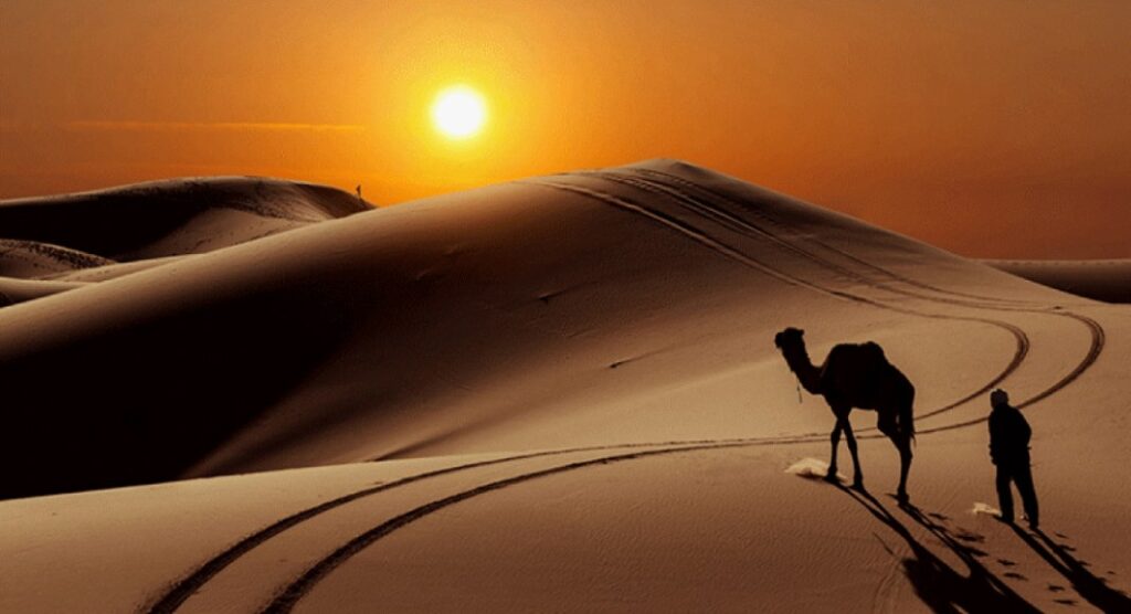 کویر لوت خراسان جنوبی؛ بلندترین تپههای ماسهای جهان و فرصت طلایی گردشگری ایران