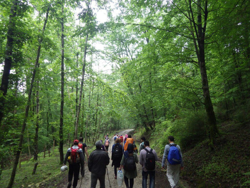 برگزاری تورهای شهرستانی در خراسان رضوی برای معرفی ظرفیتهای گردشگری