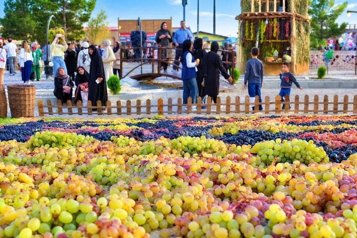 جشنواره انگور ارومیه