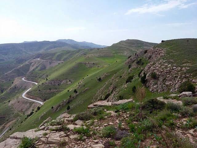هشدار به طبیعتگردان؛ ورود به دره چهلمیر درگز ممنوع شد دره چهل میر2