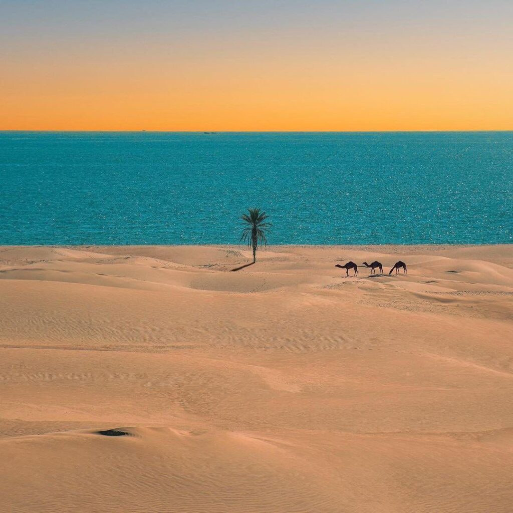درک