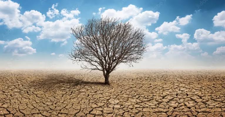 عوارض تغییر کاربری زمینهای غیرقابل کشت برای گردشگری صفر شد زمین بایر