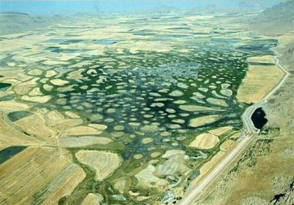 پایان ۱۰ سال چشمانتظاری برای «سایت پرندهنگری هشیلان» سایت پرنده نگری هشیلان