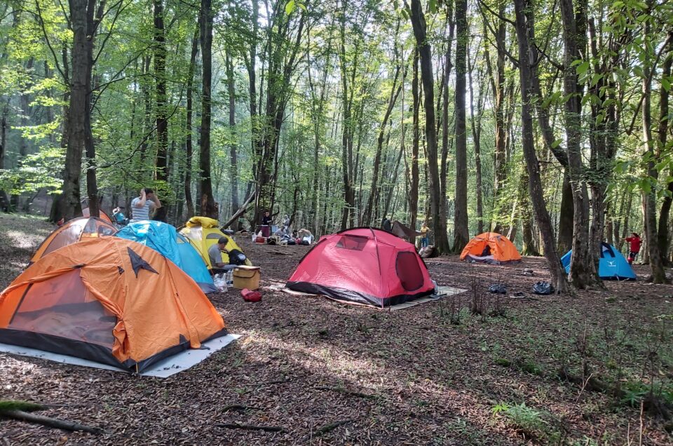 با وجود وضعیت قرمز؛ تورهای گردشگری همچنان وارد جنگلهای خشک شمال میشوند