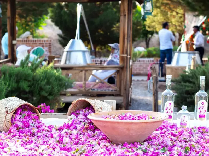 در پی ثبت «رز طائف» عربستان در یونسکو؛ ایران پرونده جهانی آیین گلابگیری را آماده کرد